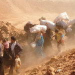 RAPPORTO UNHCR 2014